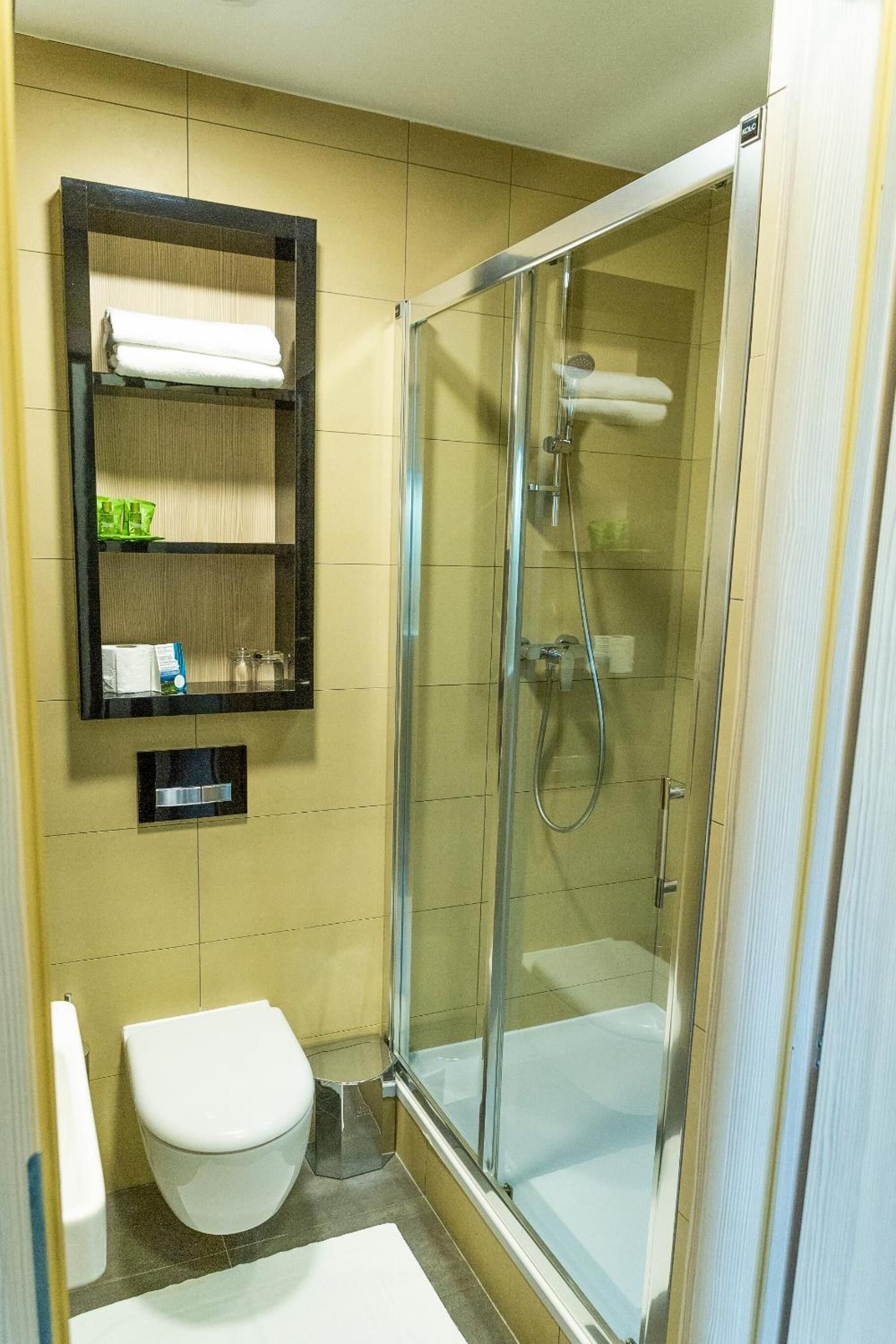 A bathroom with a glass-enclosed shower, a toilet, and a shelf with toiletries.