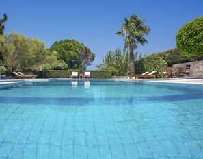 Una piscina blava cristal·lina amb gandules i una palmera.