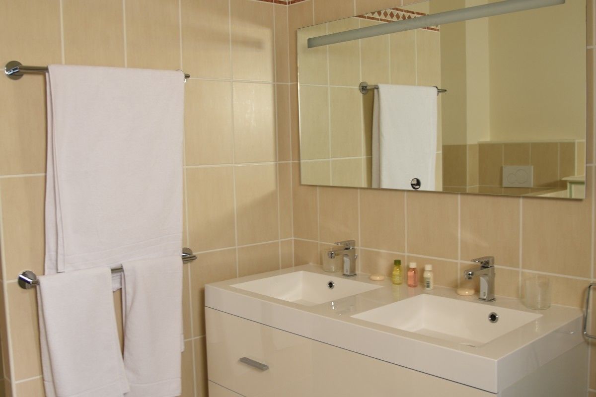 double room (la baronne) | bathroom sink