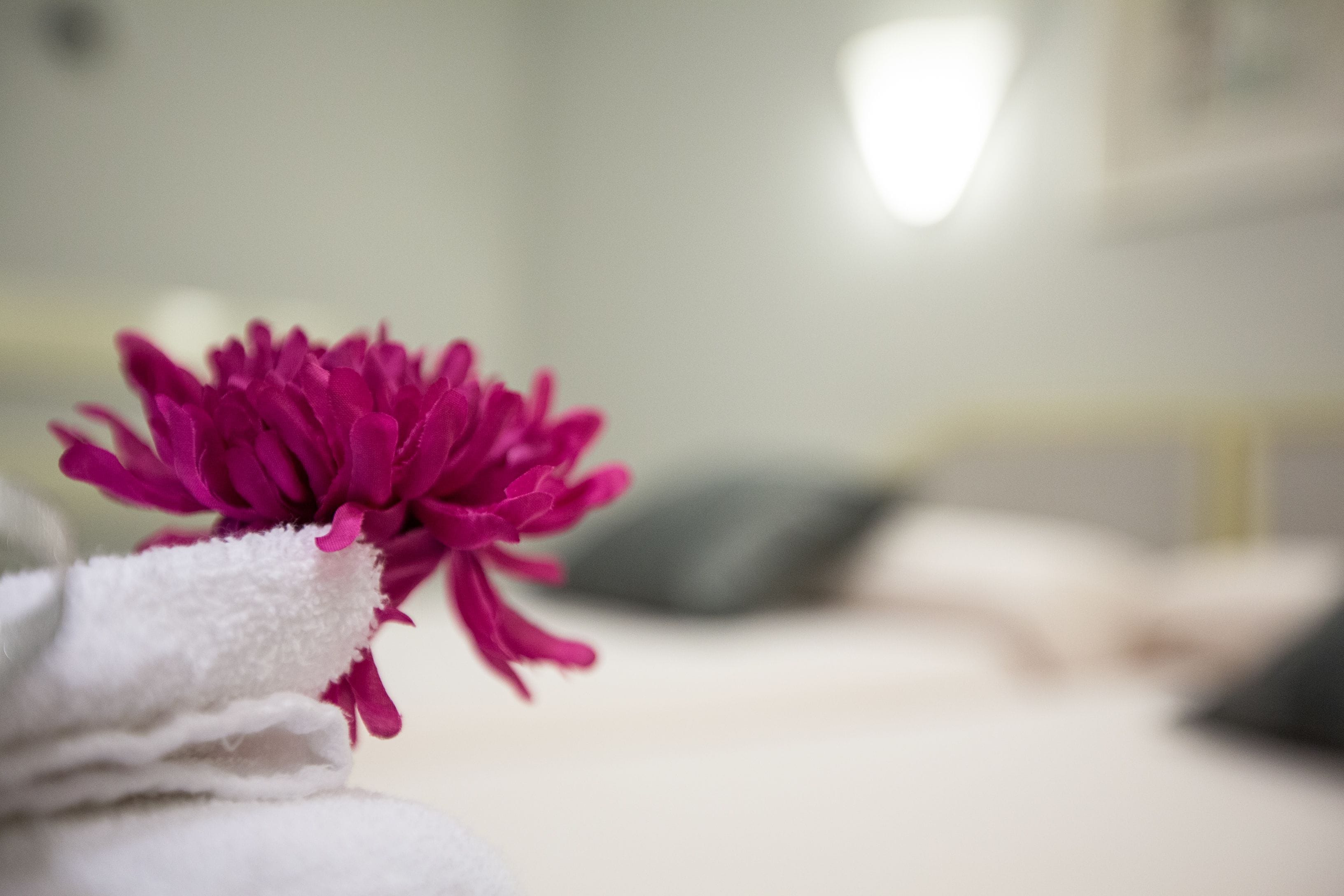 Photo - Hostal Paris