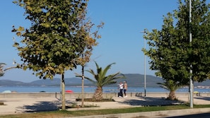 Un paseo marítimo con árboles, una palmera y vistas al mar y colinas distantes.