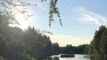 Une vue paisible sur un lac, avec une végétation luxuriante et une étendue d’eau calme, sous un ciel dégagé.