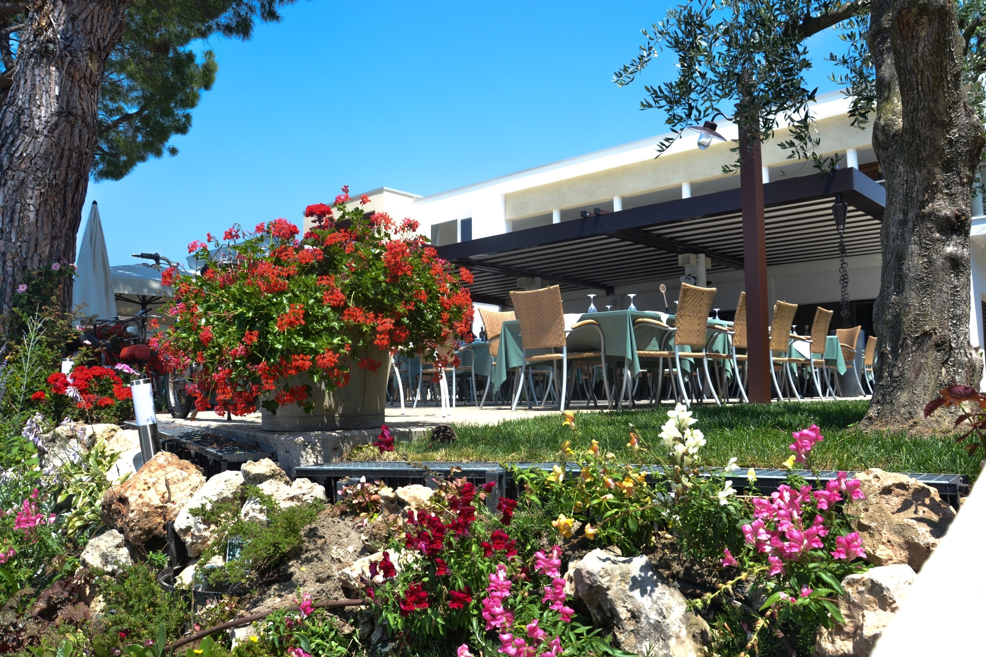 An outdoor seating area with tables and chairs, surrounded by flowering plants and trees.