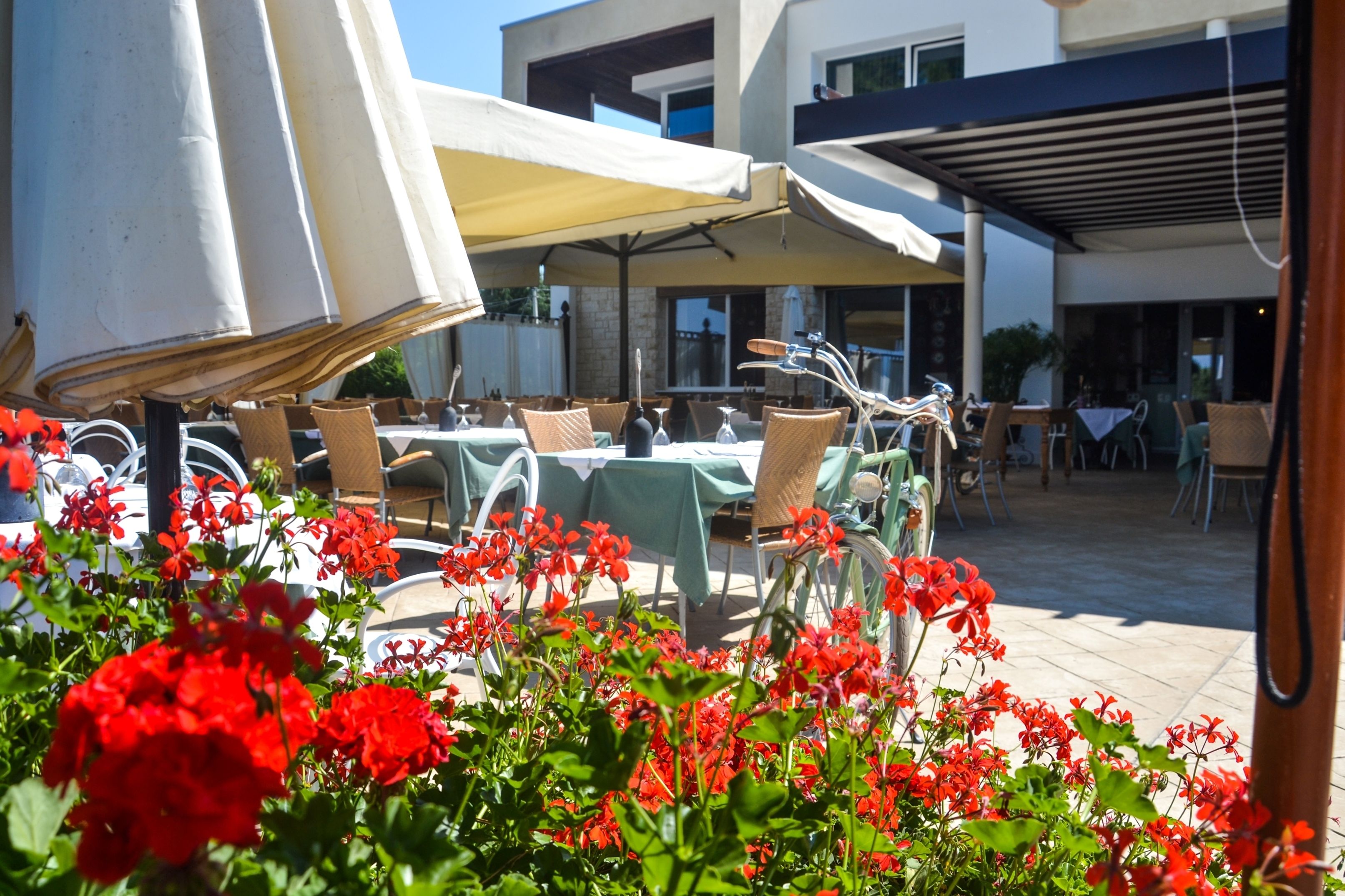 Terrasse/patio
