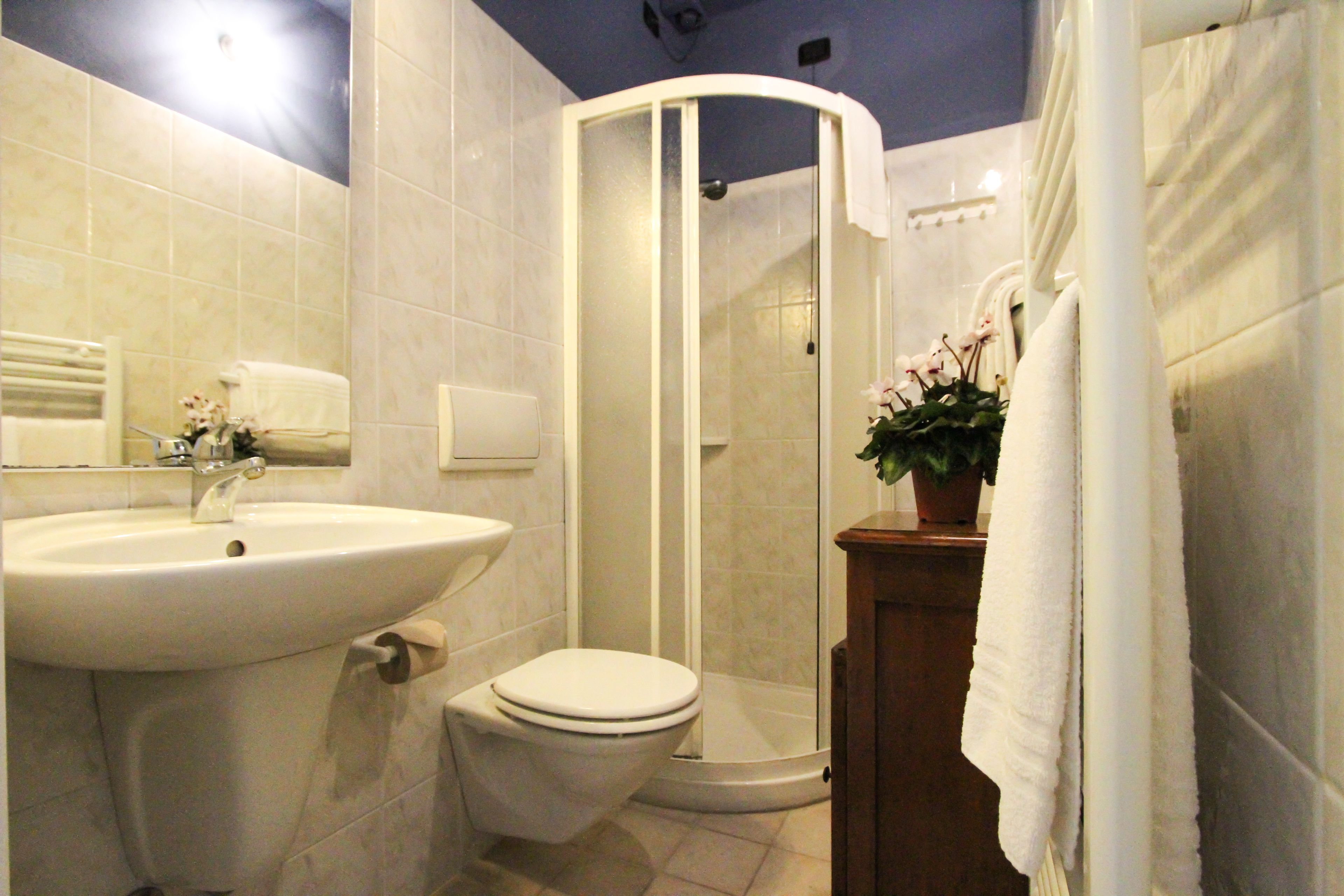 shower, free toiletries, towels