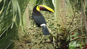 Jardín