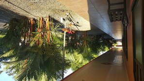 Hallway - Hotel Vista al Tortuguero (Cariari)