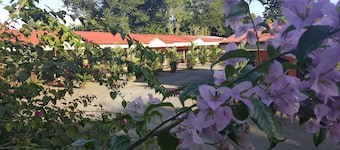 Hotel Vista al Tortuguero