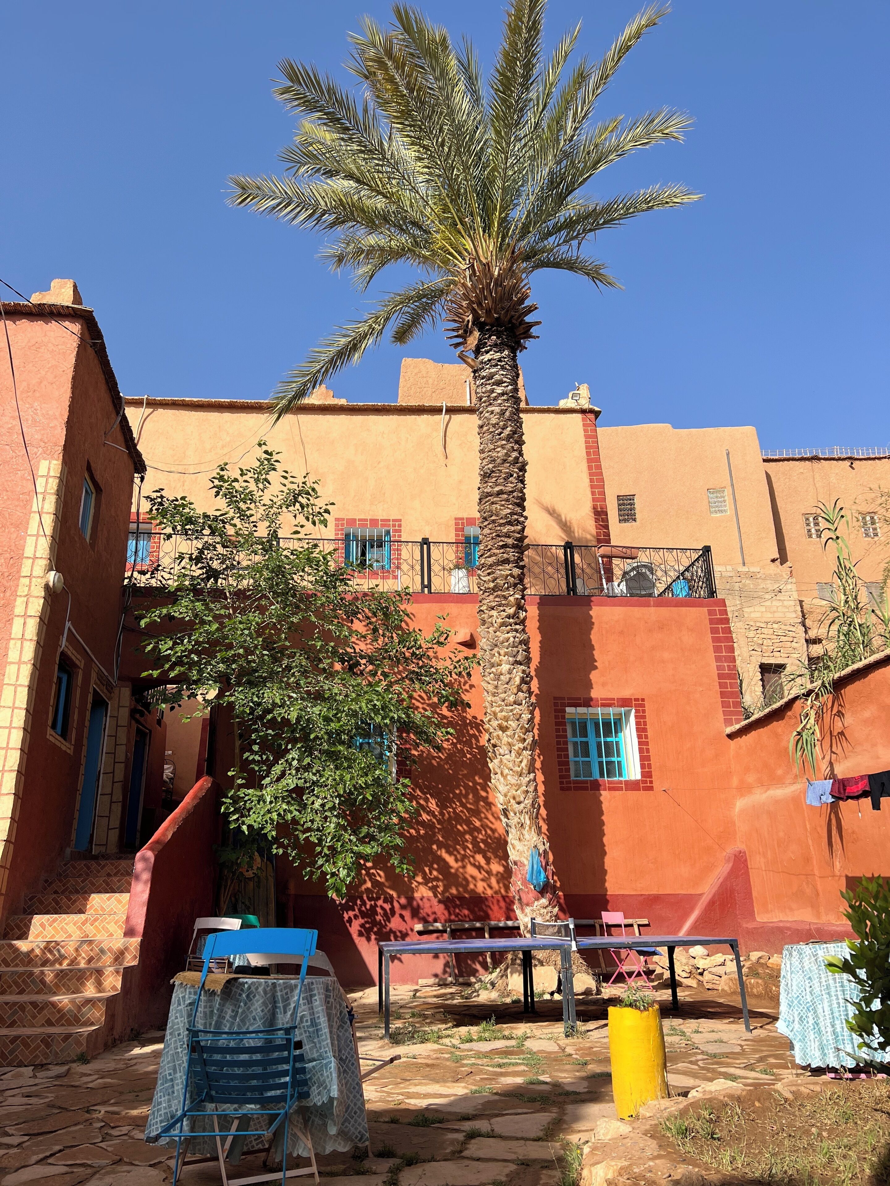 A courtyard with a palm tree, a table with a blue tablecloth, and a yellow trash bin.