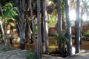 Jardín