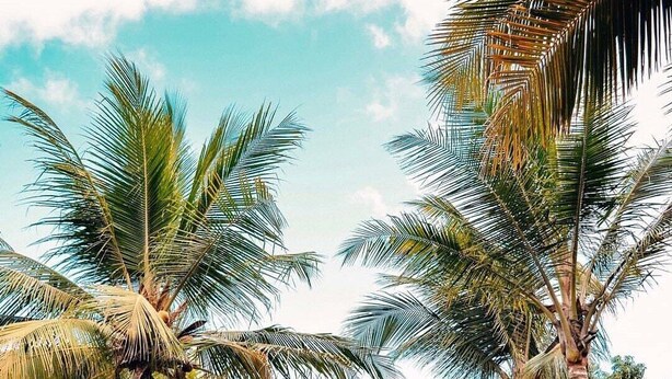 A pathway leading to a brick house surrounded by palm trees. - Pousada do Riacho (Barreirinhas)