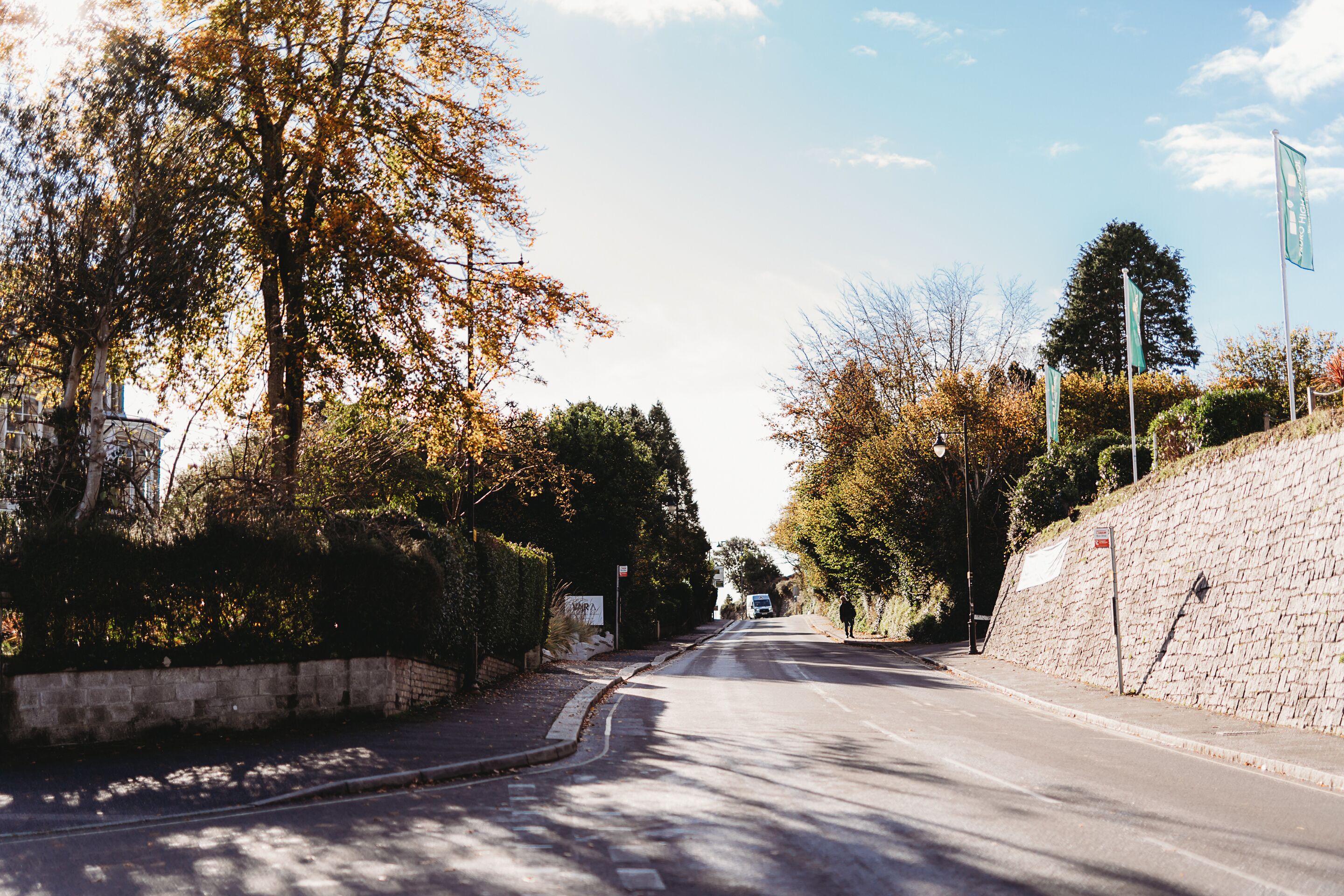 Une rue tranquille, bordée d’arbres et délimitée par un mur de pierres.