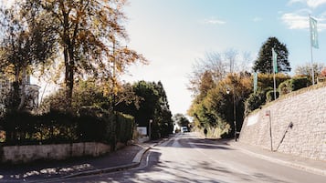 Une rue tranquille, bordée d’arbres et délimitée par un mur de pierres.