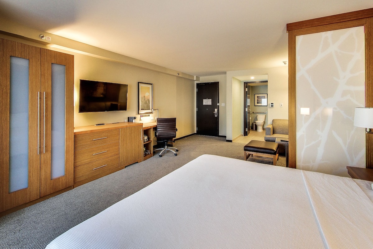 Desk, soundproofing, iron/ironing board, free WiFi