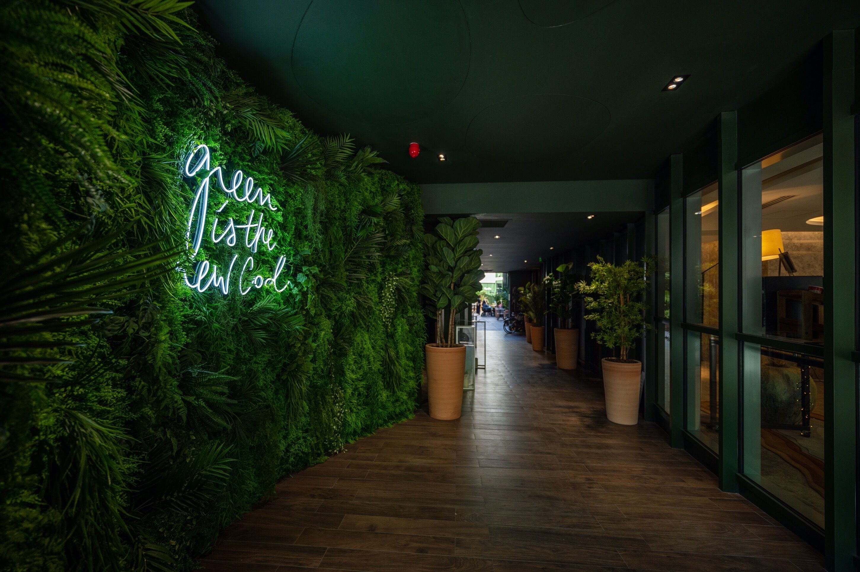 Món Pháp, nhìn ra vườn 