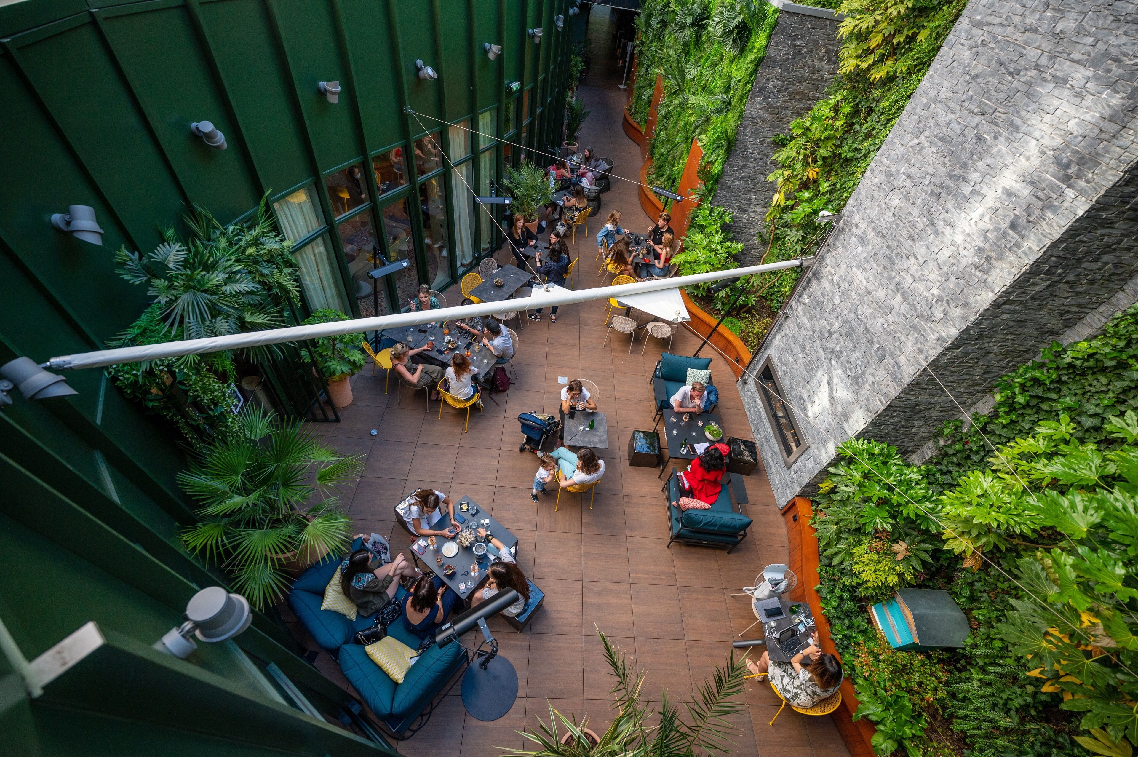 French cuisine, garden views 