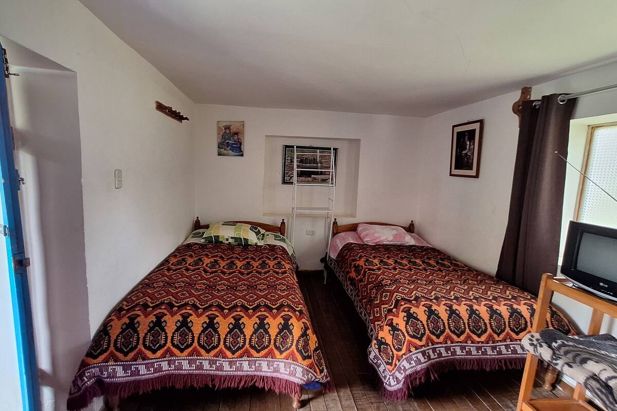 A room with two beds, a TV, and a window with a view of the outside.