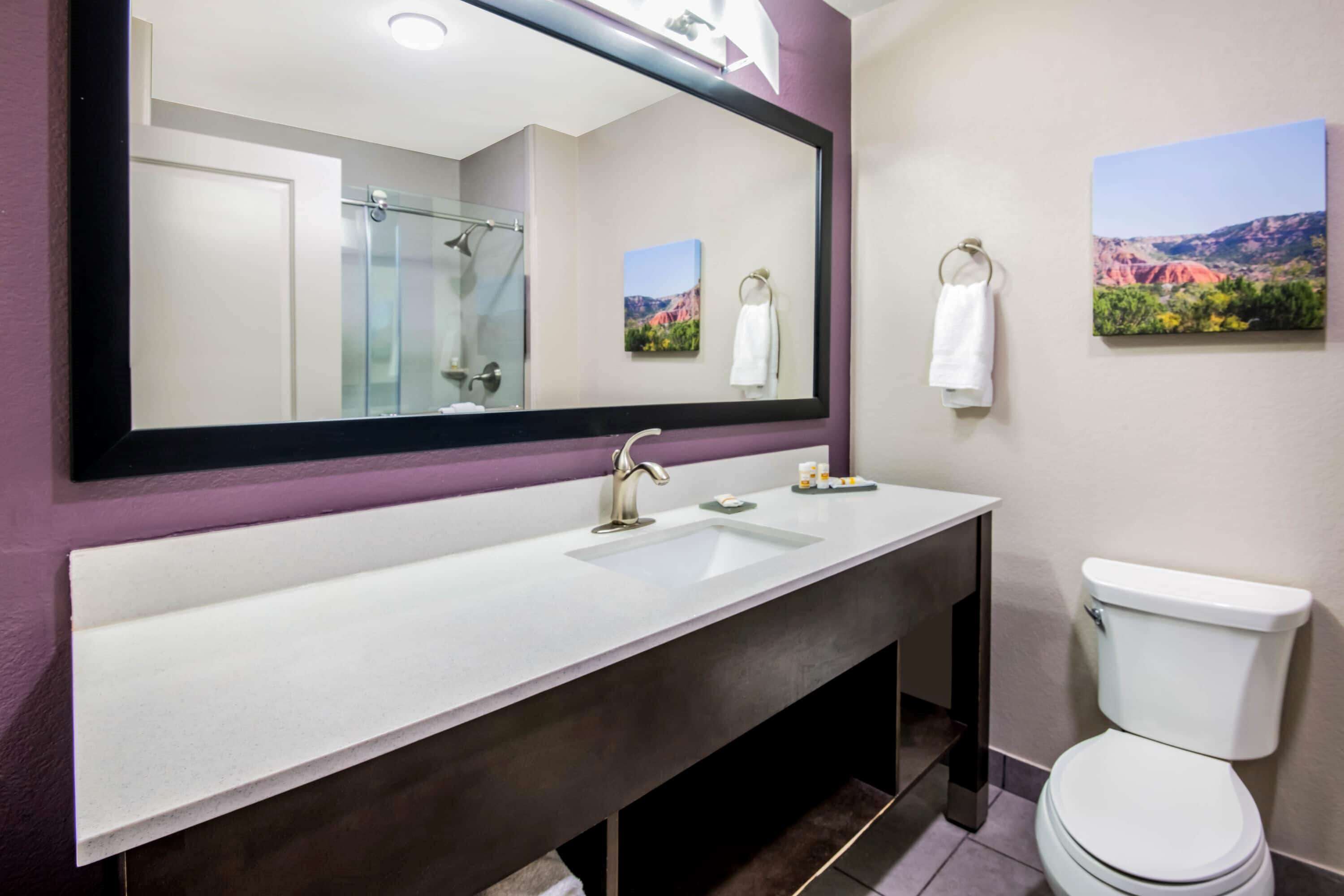 A bathroom with a large mirror, a white sink, a toilet, and a glass shower enclosure.