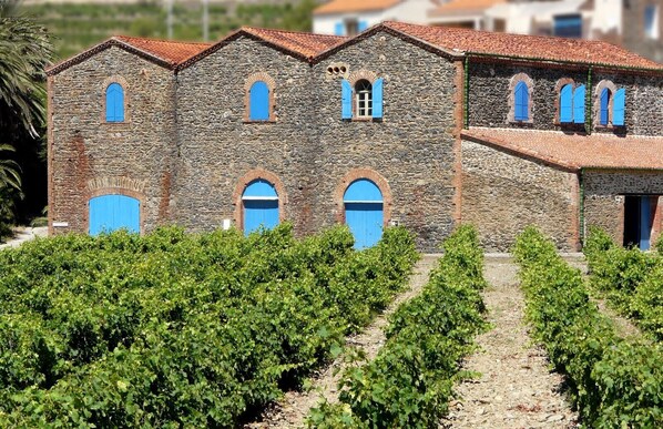 Um edifício de pedra com várias janelas e telhado de telhas vermelhas, rodeado por fileiras de videiras.