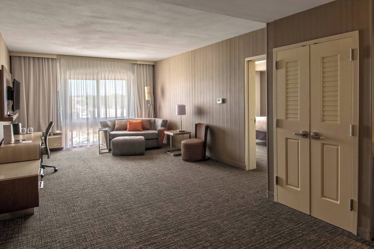 Suite, 1 trÚs grand lit et 1 canapé-lit, non-fumeur