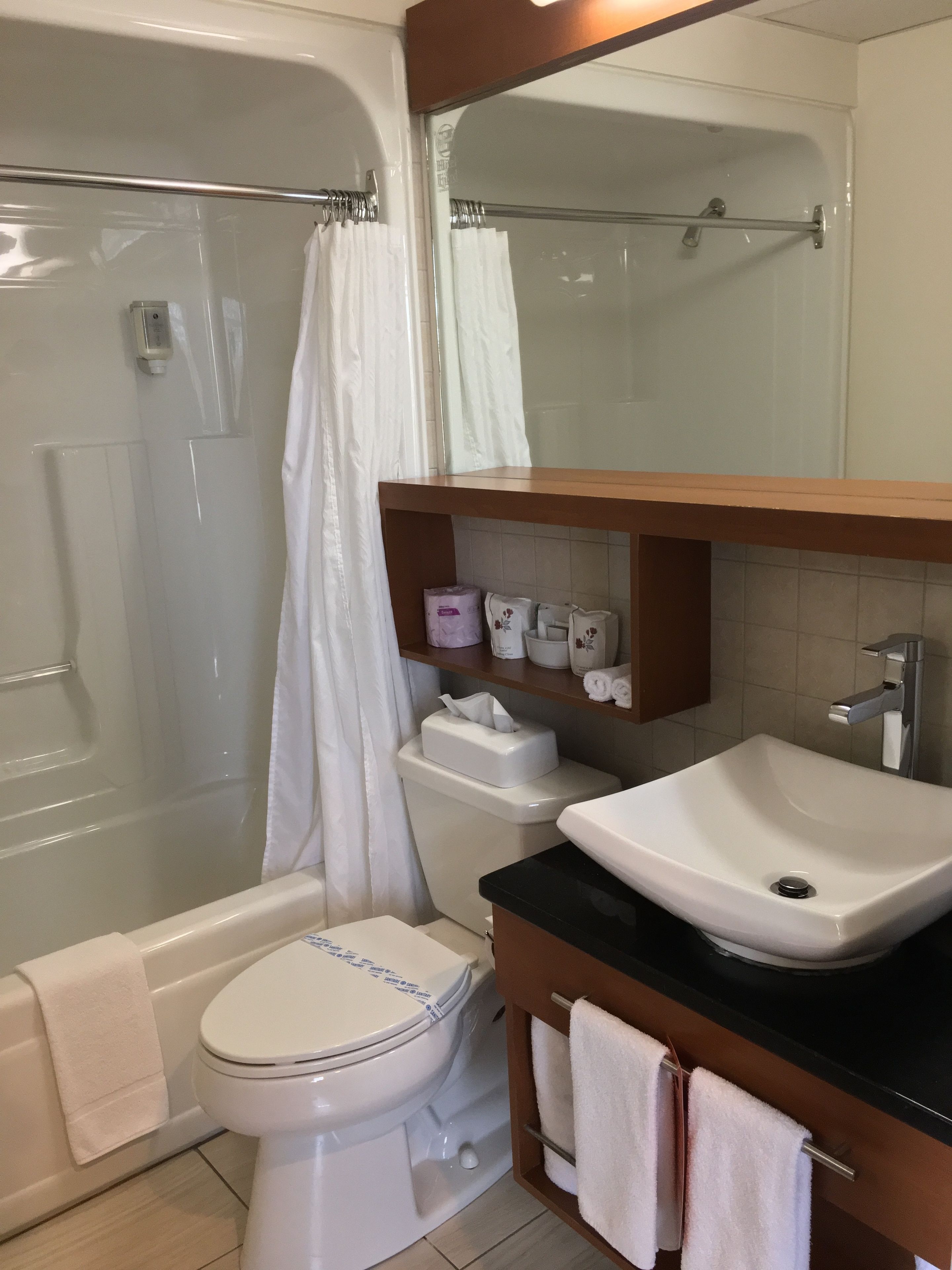 combined shower/bathtub, free toiletries, hair dryer, towels