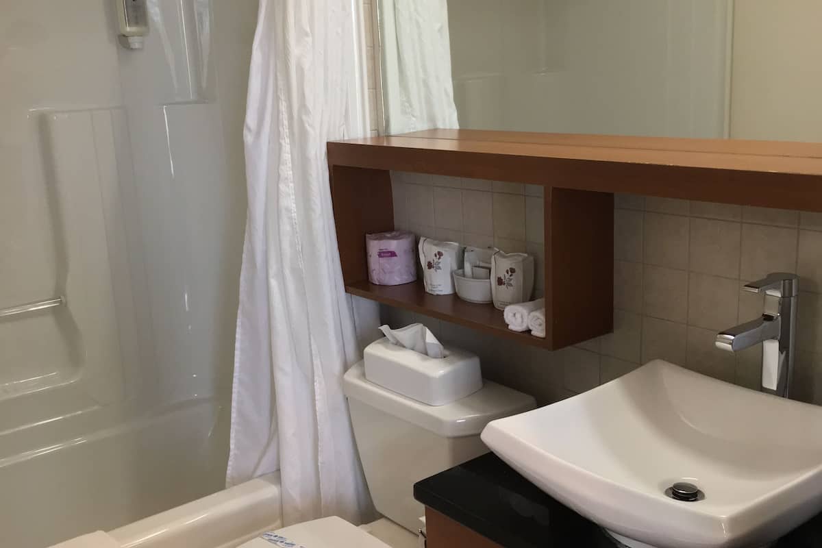 combined shower/bathtub, free toiletries, hair dryer, towels