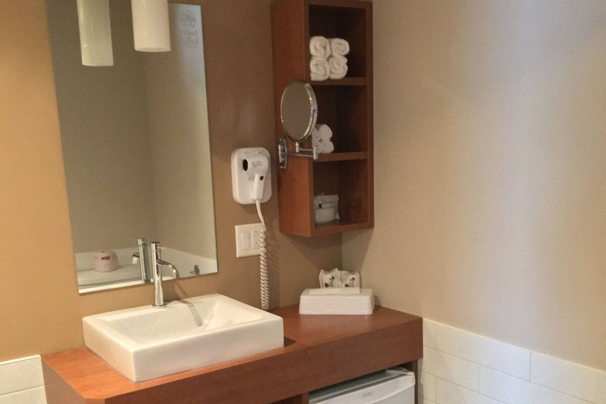 combined shower/bathtub, free toiletries, hair dryer, towels