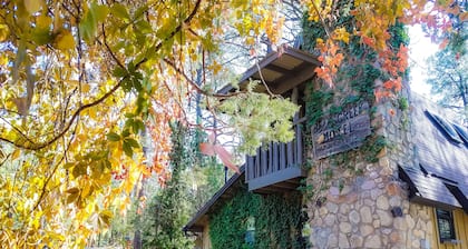 Bear Creek Motel And Cabins