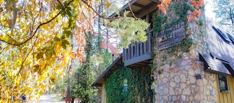 Bear Creek Motel And Cabins