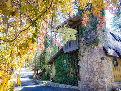 Bear Creek Motel And Cabins
