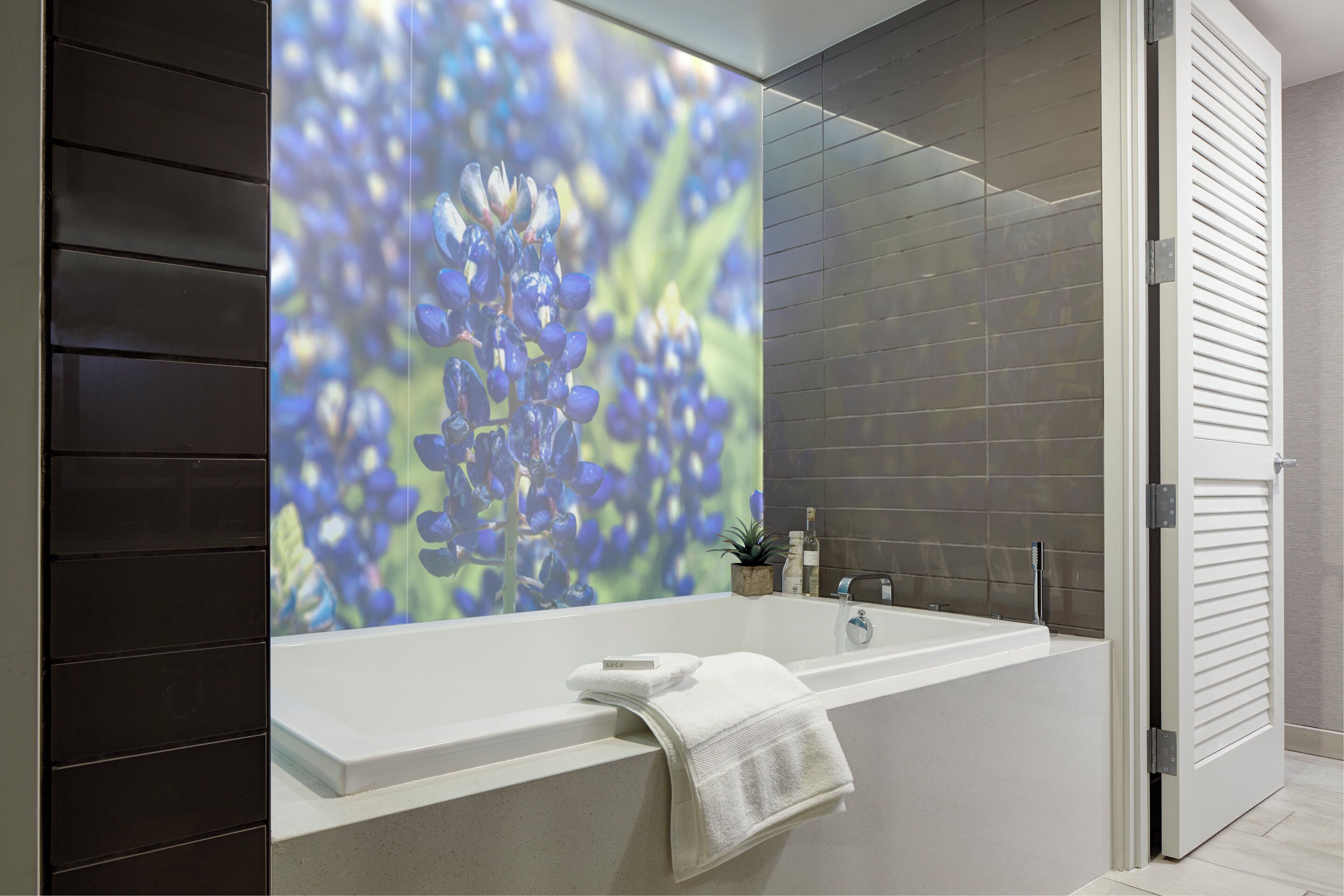 Foto - Archer Hotel Austin