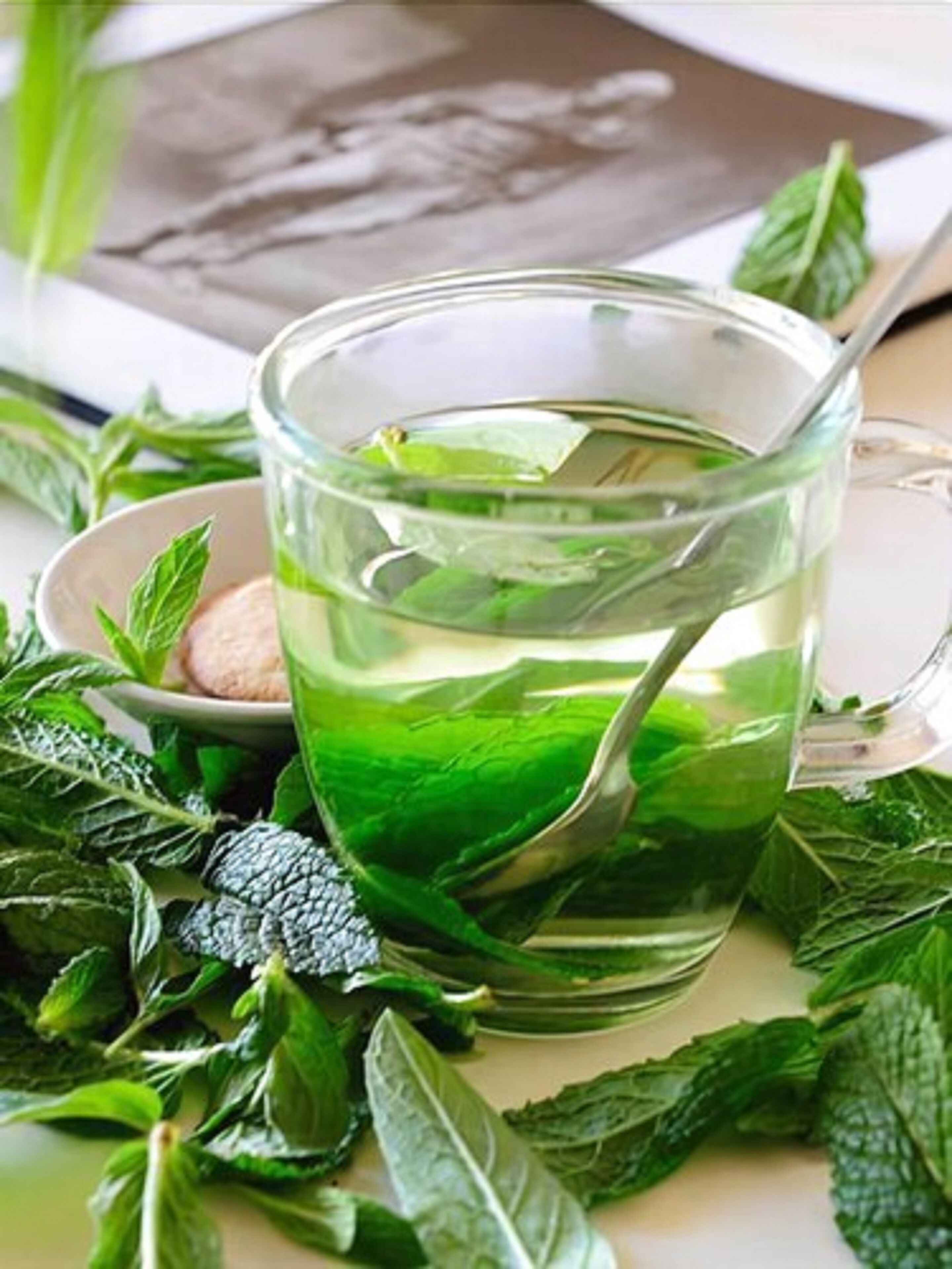 Foto - Niños Hotel Fierro