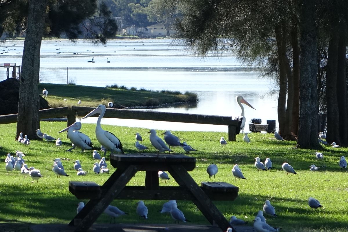 Foto - Bridge View Motel