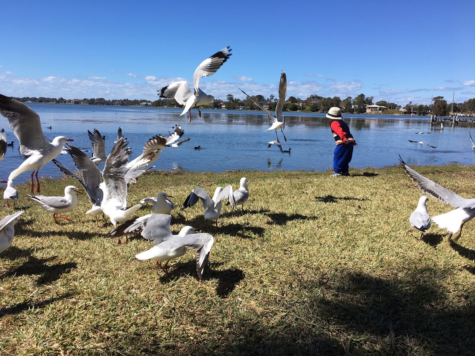 Foto - Bridge View Motel