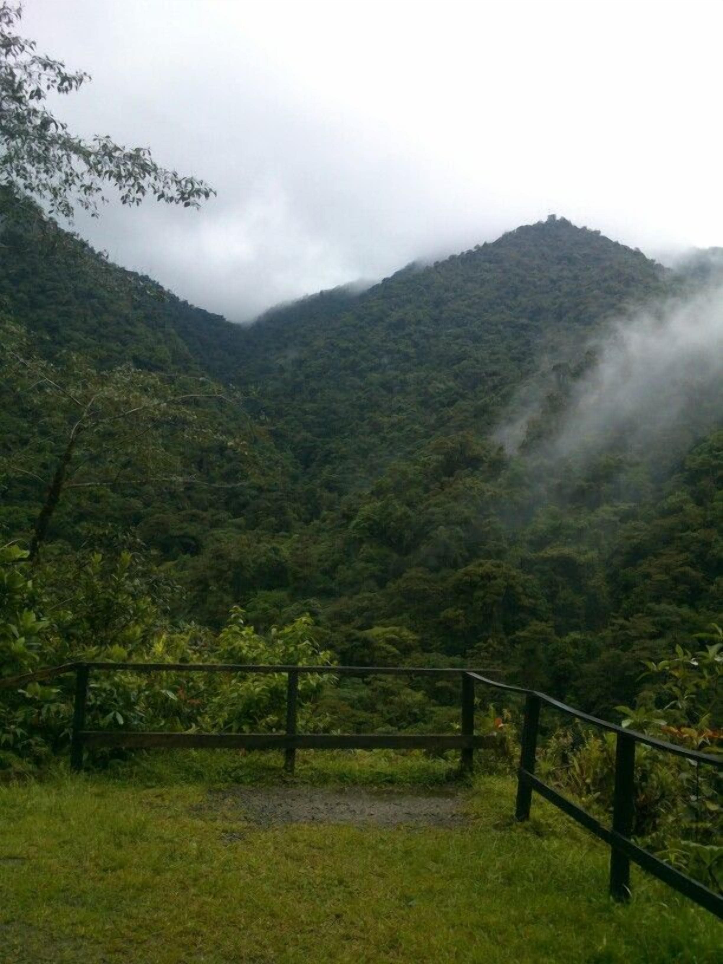 Un paisaje verde exuberante con una valla de madera en primer plano y una montaña cubierta de vegetación densa al fondo.