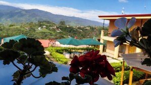 A red flower in the foreground with a view of a building and mountains in the background. - Paraíso Orocay Lodge (Paraiso)