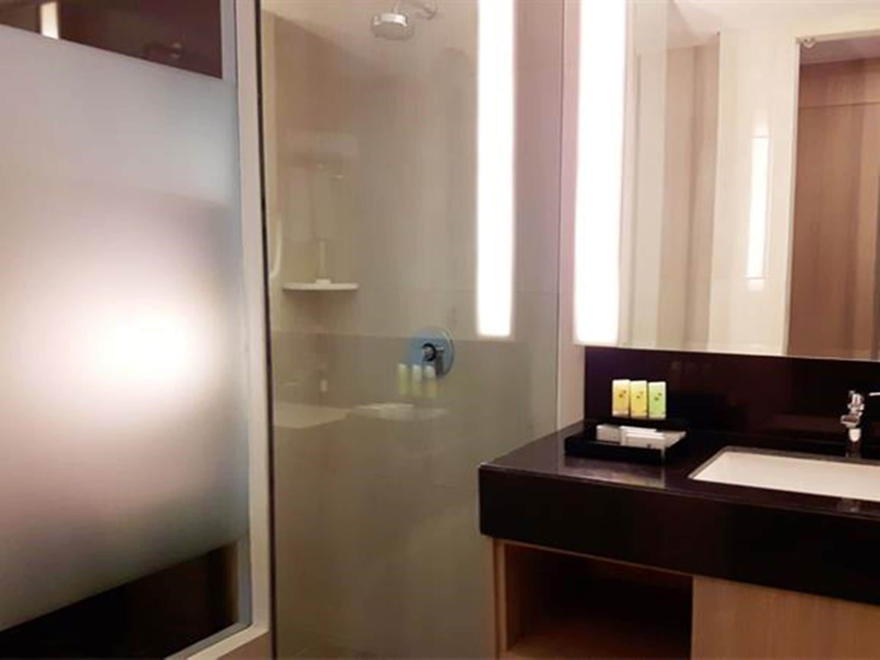A modern bathroom with a glass shower enclosure, a dark countertop sink, and a mirror above it.