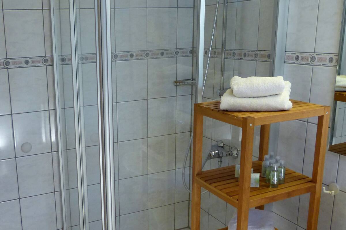 apartment, 2 bedrooms, accessible, kitchen | bathroom | shower, free toiletries, hair dryer, towels