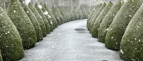 Glendale Bed & Breakfast