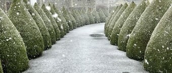 Glendale Bed & Breakfast