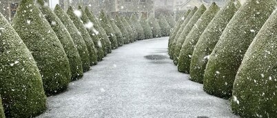 Glendale Bed & Breakfast