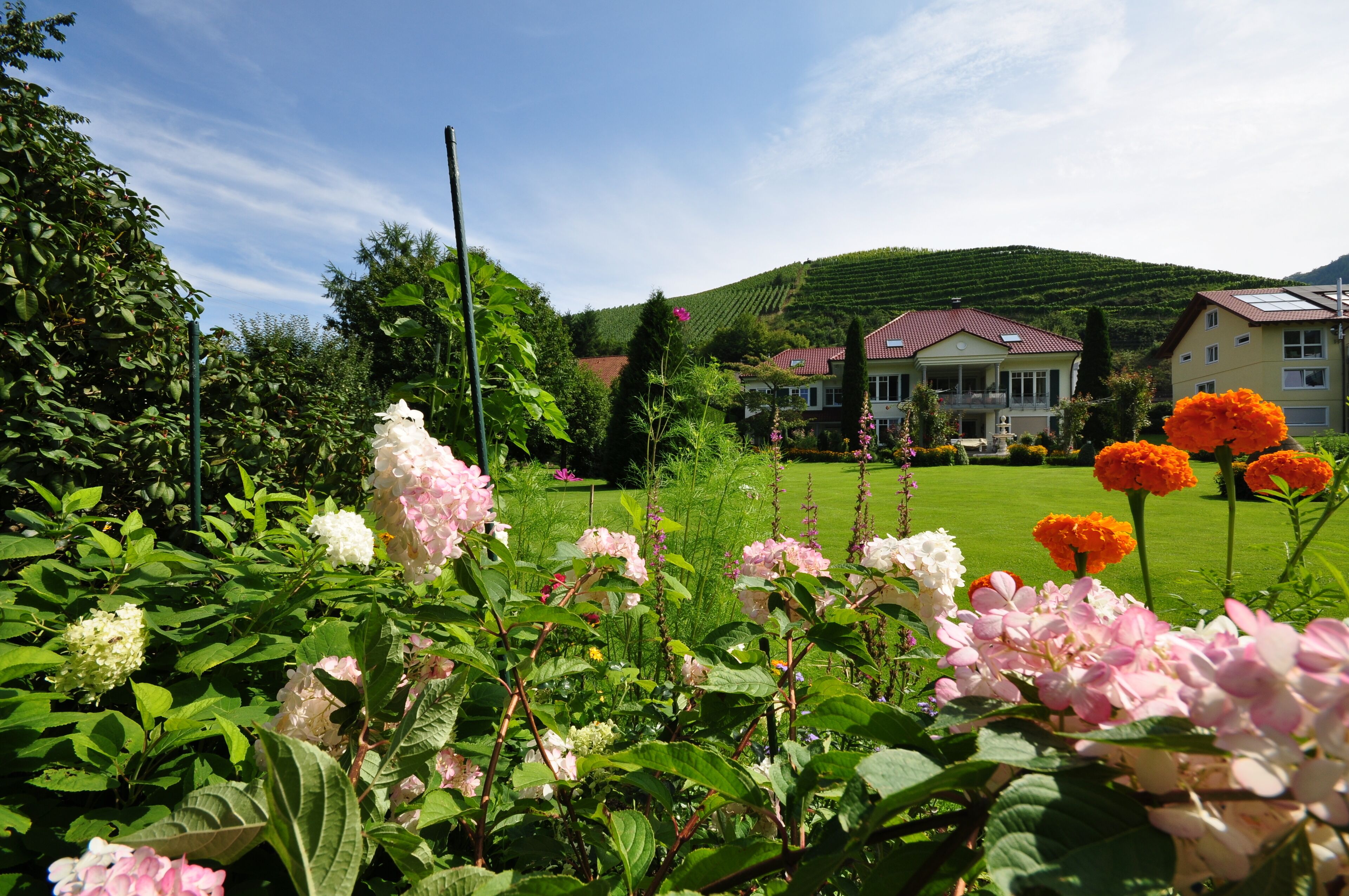 A garden with various flowers and a house with a red roof in the background.