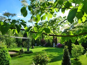Vista al jardín