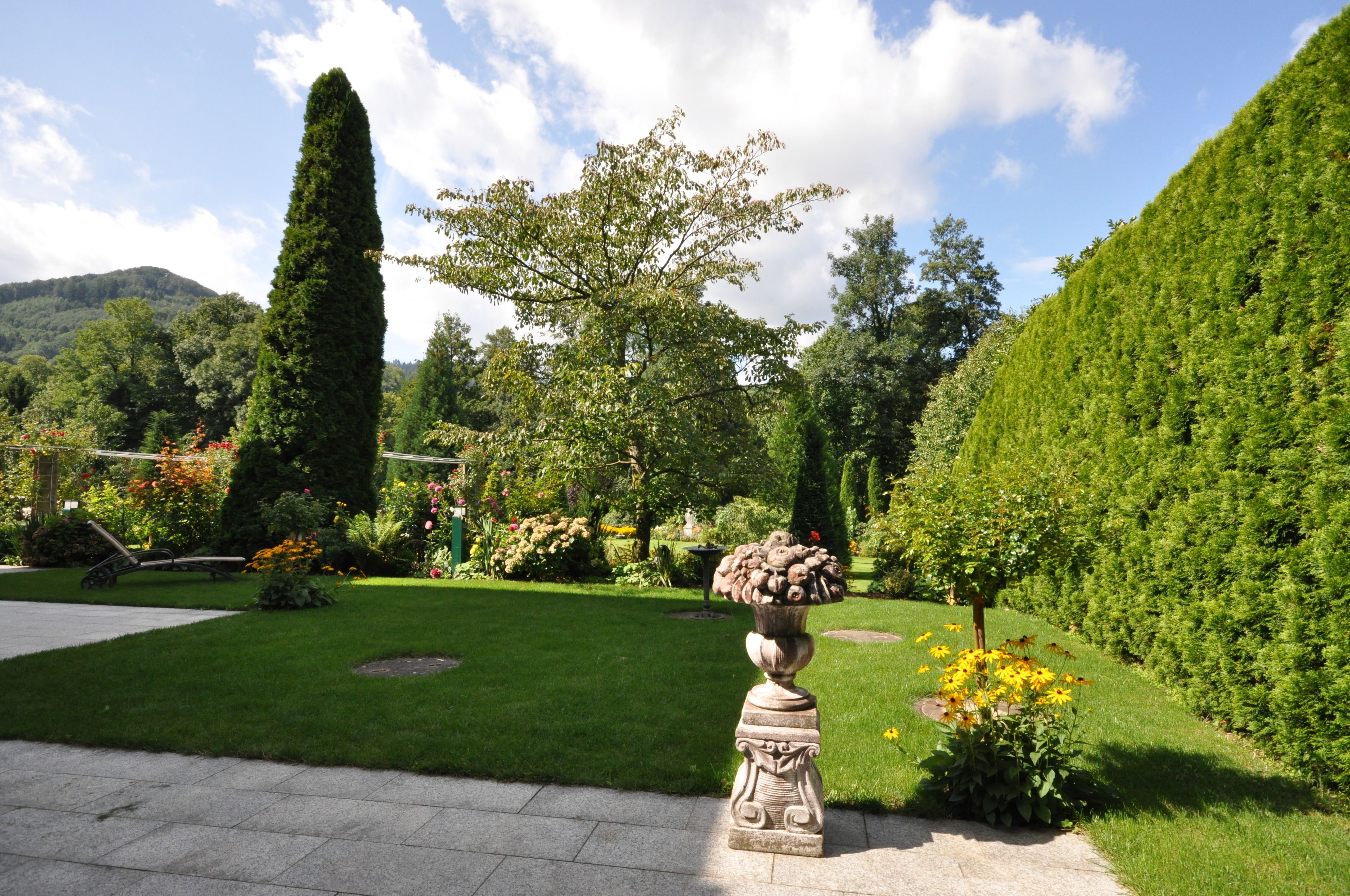 Un giardino curato, con diverse piante e un albero alto e slanciato.
