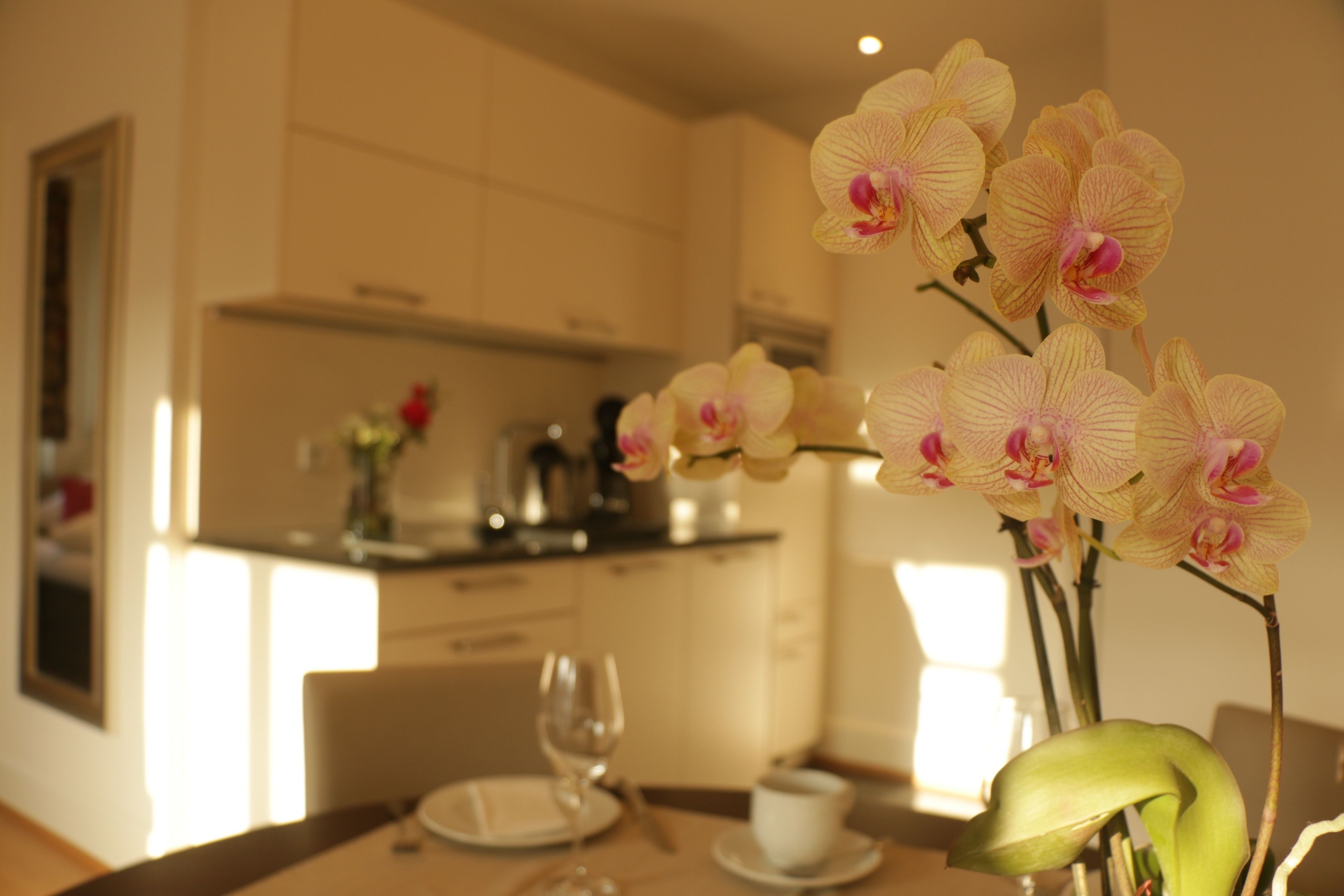 Un coin repas avec une table dressée pour deux personnes, un vase d’orchidées et une cuisine en arrière-plan.