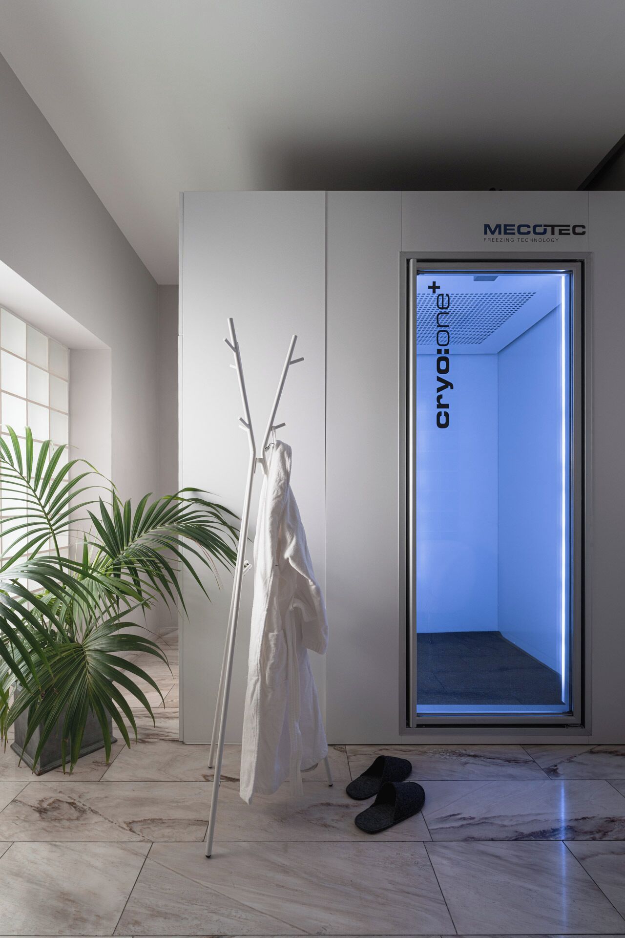 A modern interior with a white coat rack, a potted plant, and a door with a blue interior.