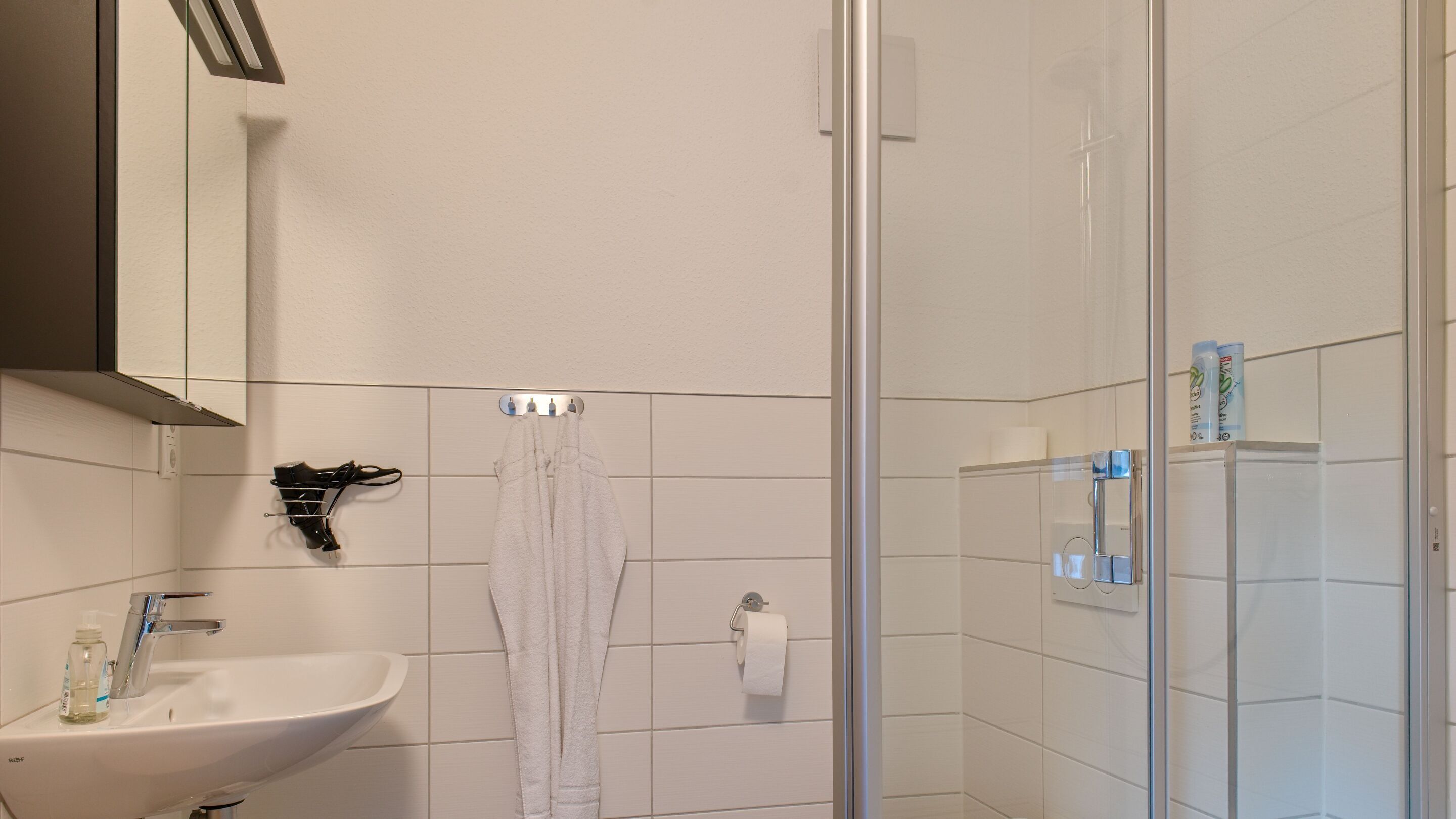 A bathroom with a sink, mirror, towel rack, toilet paper holder, and a shower area with a glass door.
