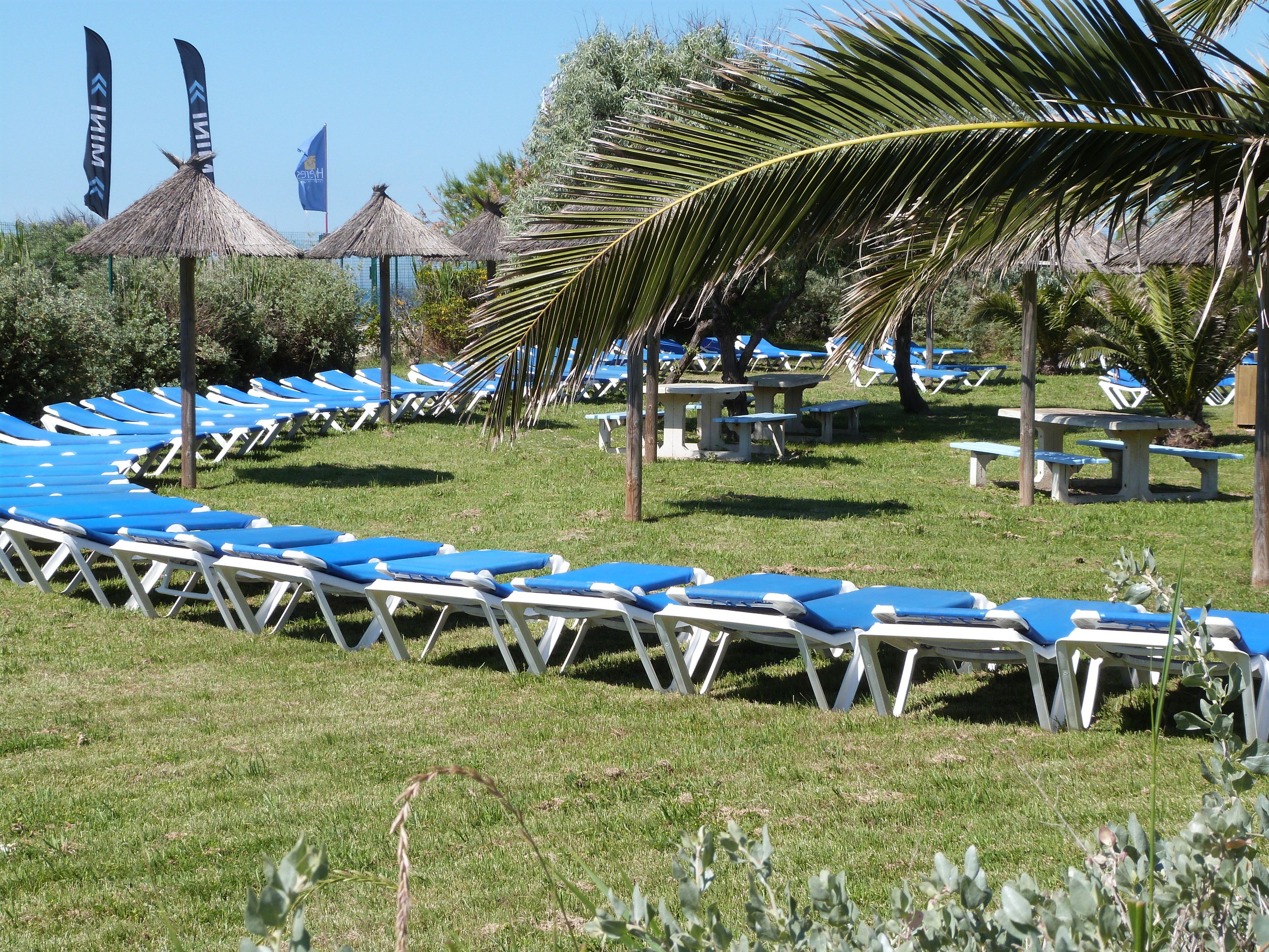 A row of blue lounge chairs and white tables arranged on a grassy area with palm trees and thatched umbrellas in the background.