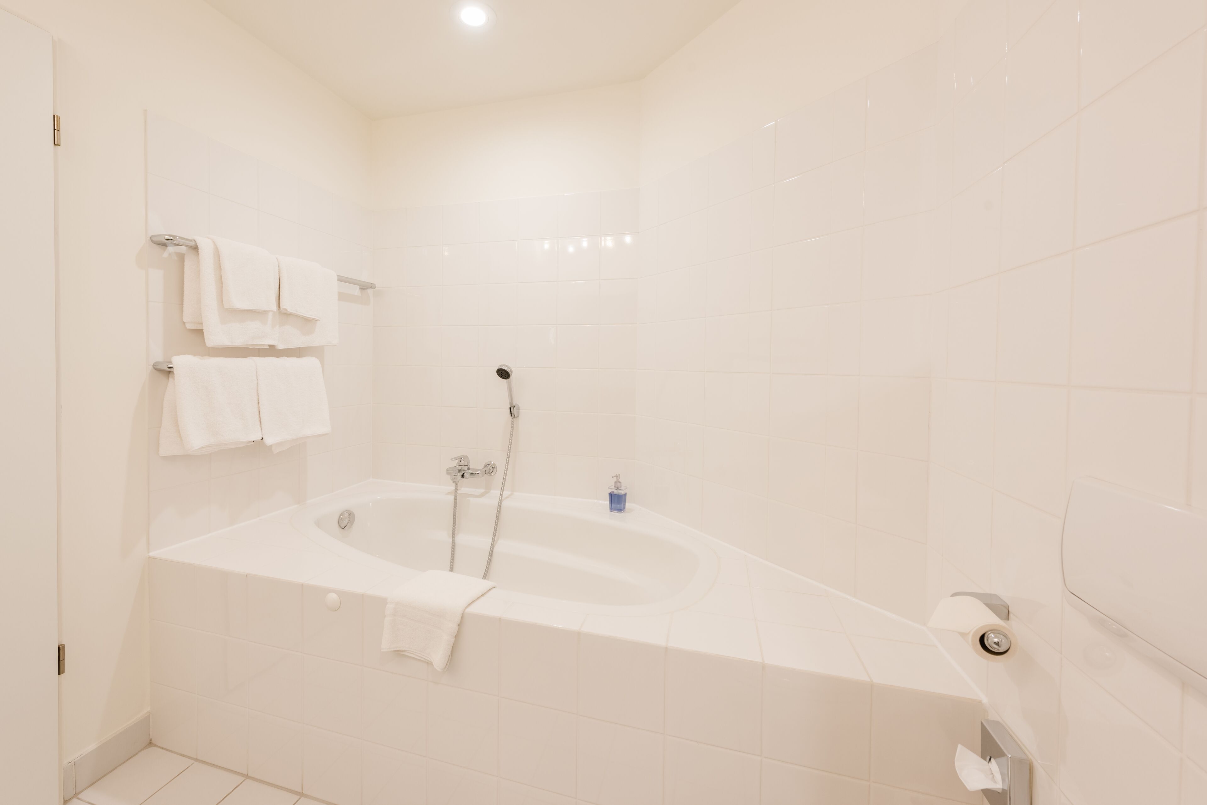 deluxe room | bathroom | free toiletries, hair dryer, towels, soap