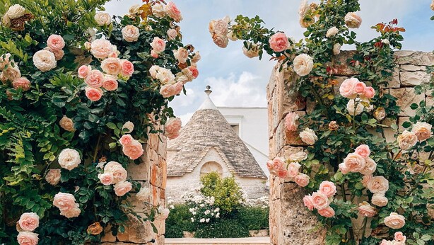 A stone archway with pink roses leading to a building with a tiled roof. - Leonardo Trulli Resort (Locorotondo)